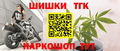 эйфоретик Гусев