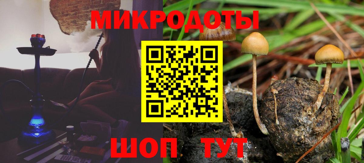 Галлюциногенные грибы GOLDEN TEACHER  Галлюциногенные грибы Psilocybe  Вход с VPN  Евпатория 